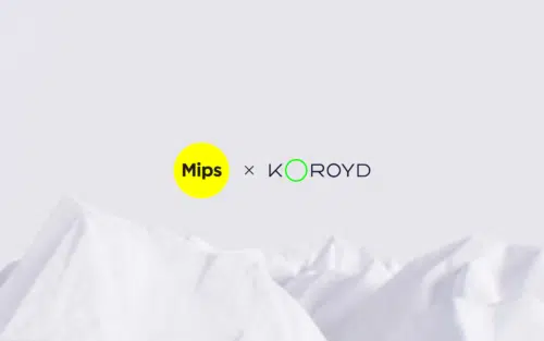 Mips-KOROYD